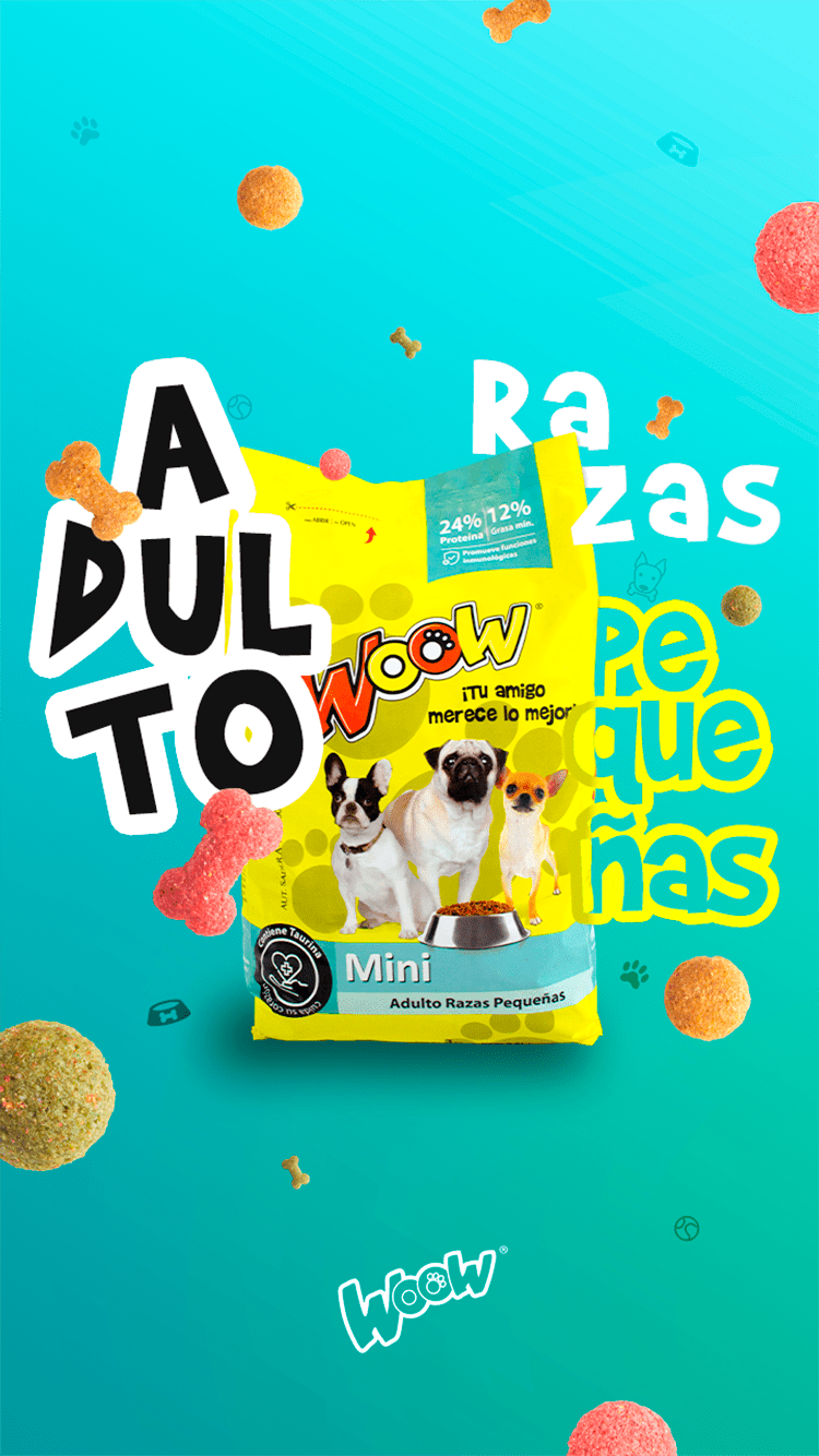 37 - WOOW PRODUCTO.png